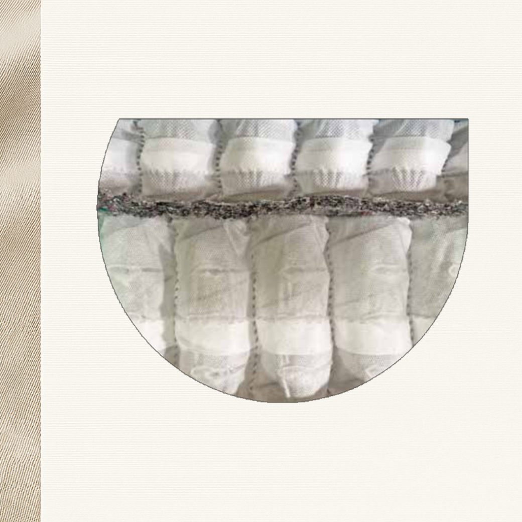 Insignia